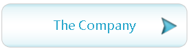 The Company.png