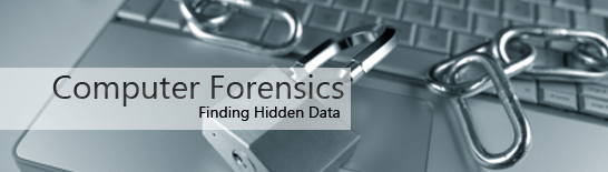Computer Forensics.png
