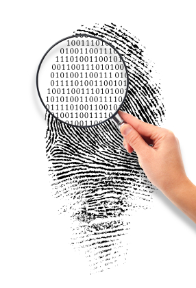 iStock_000002710859XSmall.jpg